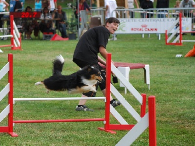 de la vallee de l'ailette - championnat de France d'agility 2010